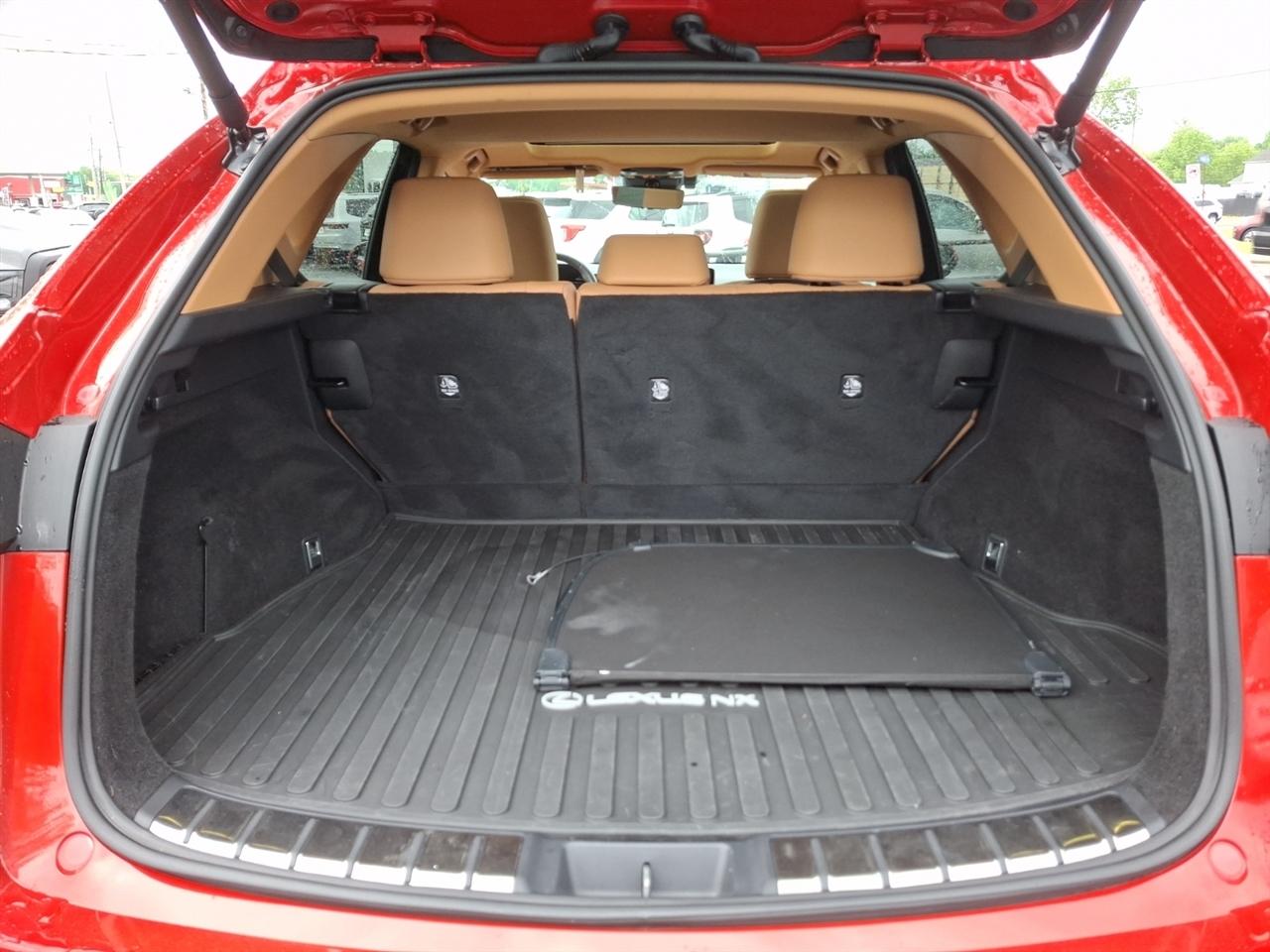 Lexus NX  2024