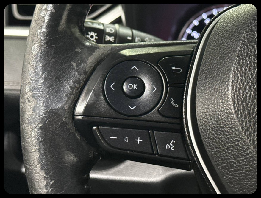 Toyota RAV4 XLE AWD 2019