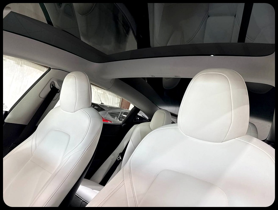 Tesla Model 3 Standard Range Plus 2022