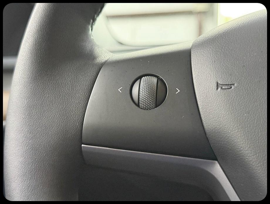 Tesla Model Y Performance 2024