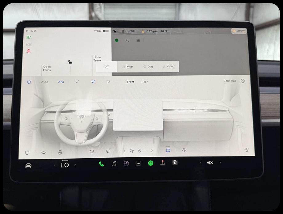 Tesla Model Y Performance 2024