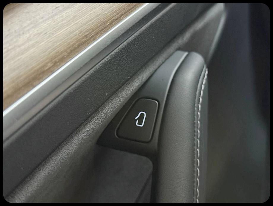 Tesla Model Y Performance 2024