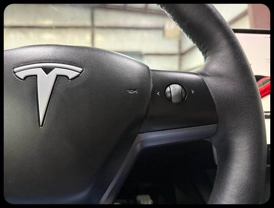 Tesla Model 3 Performance 2021