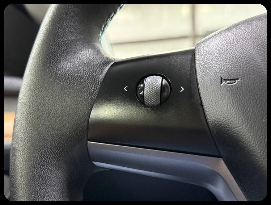 Tesla Model 3 Performance 2021