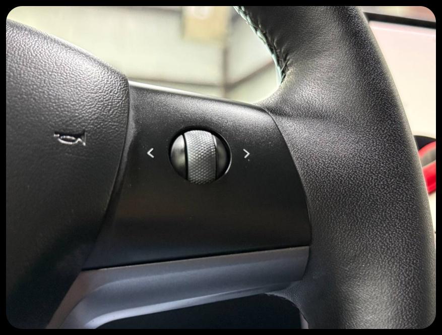 Tesla Model 3 Performance 2021