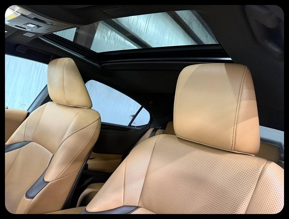 Lexus ES 350  2019