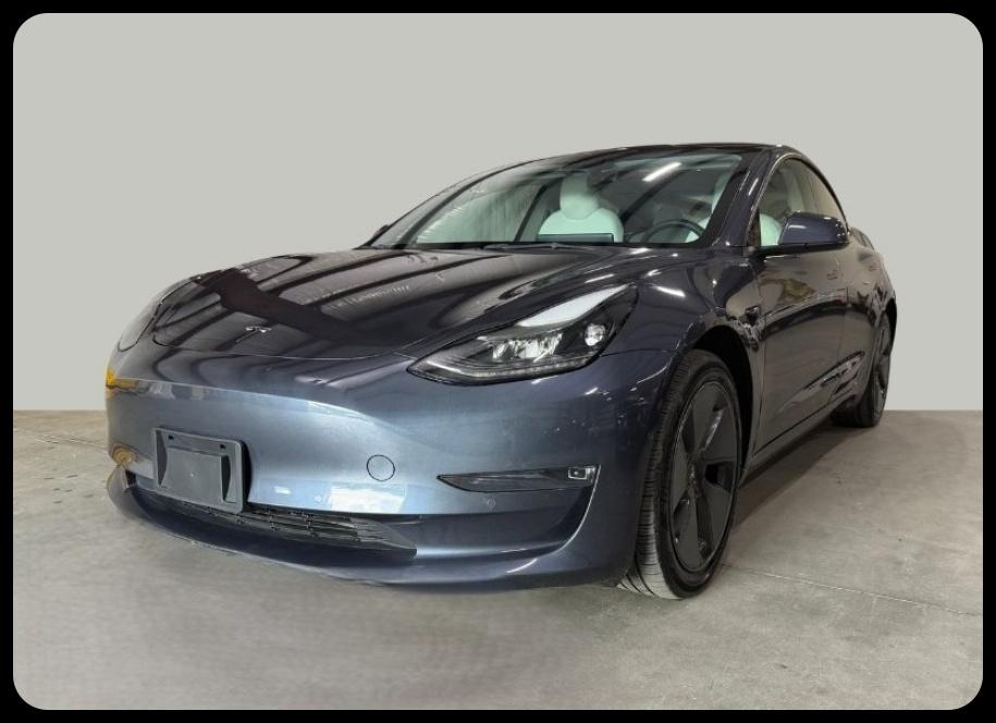 Tesla Model 3 Standard Range Plus 2022