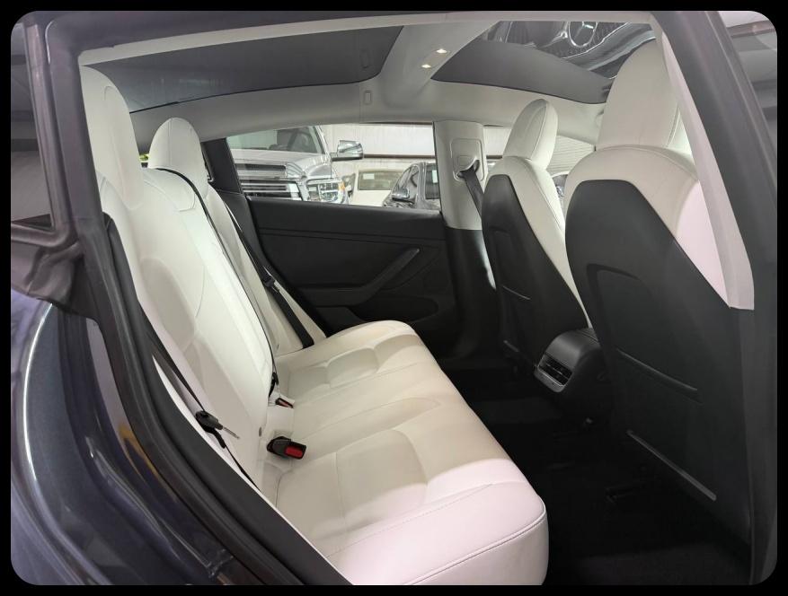 Tesla Model 3 Standard Range Plus 2022