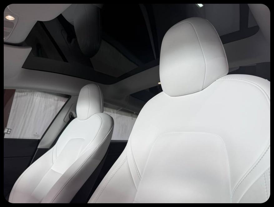 Tesla Model 3 Standard Range Plus 2022