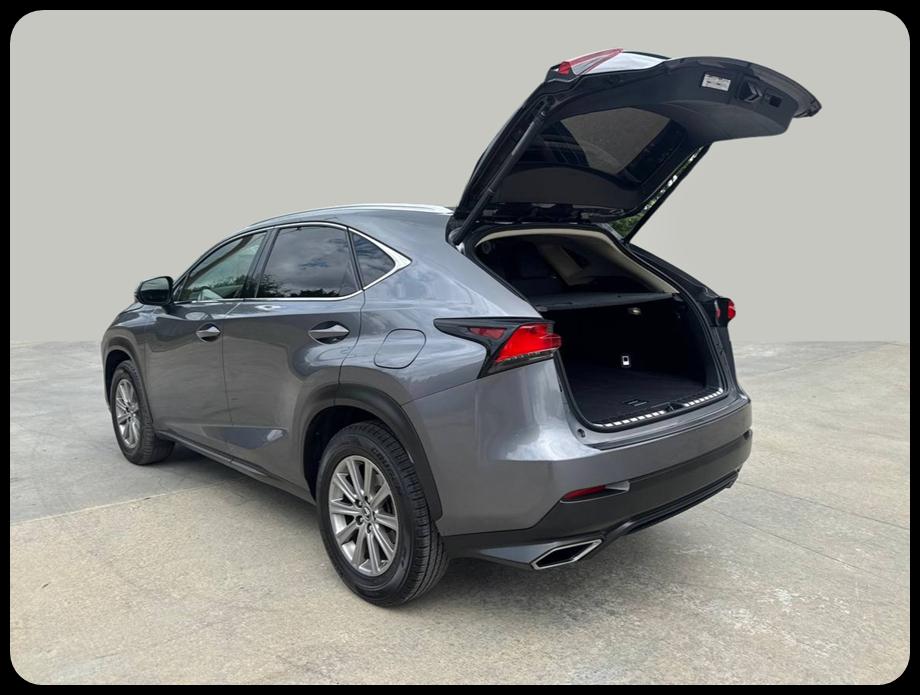 Lexus NX  2020