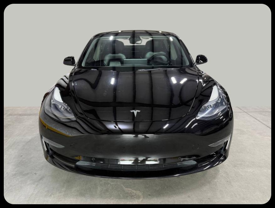 Tesla Model 3 Performance 2022