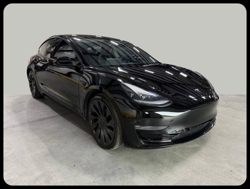 Tesla Model 3 Performance 2022