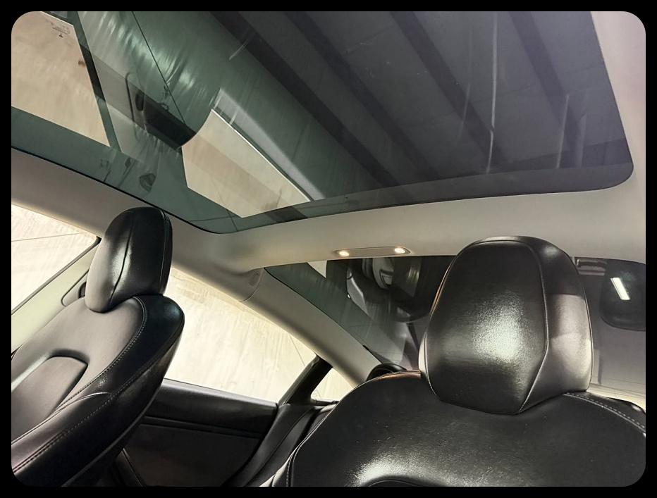 Tesla Model 3 Standard RWD 2019