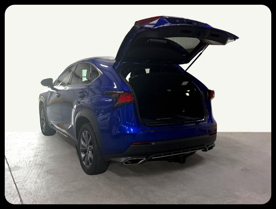 Lexus NX 300 F SPORT 2021