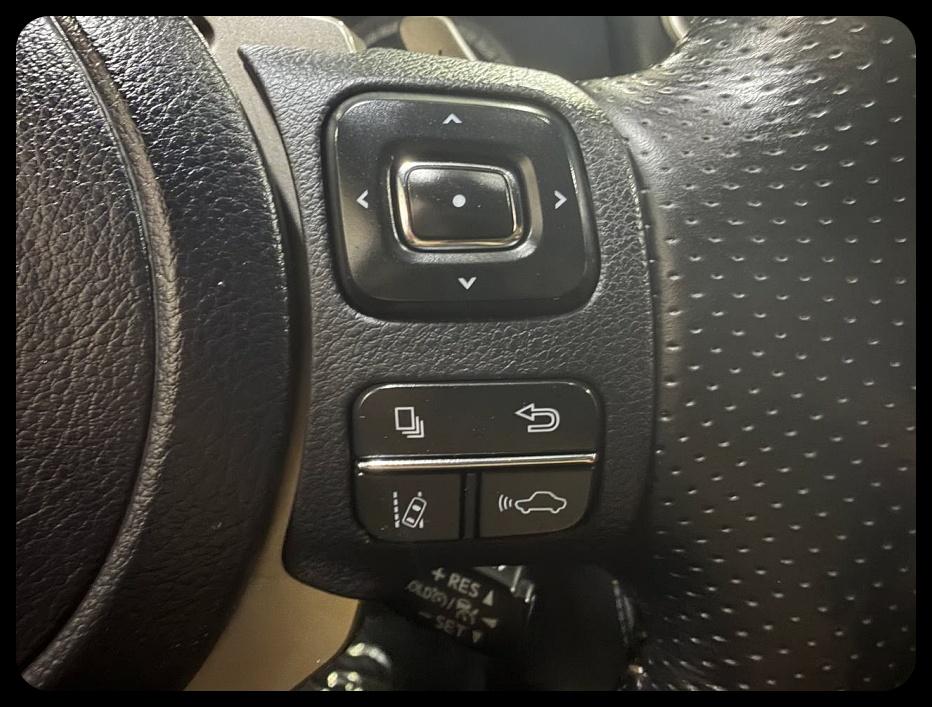 Lexus NX 300 F SPORT 2021