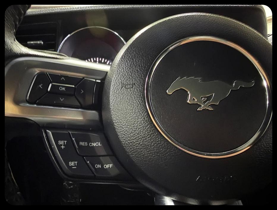 Ford Mustang EcoBoost Coupe 2017