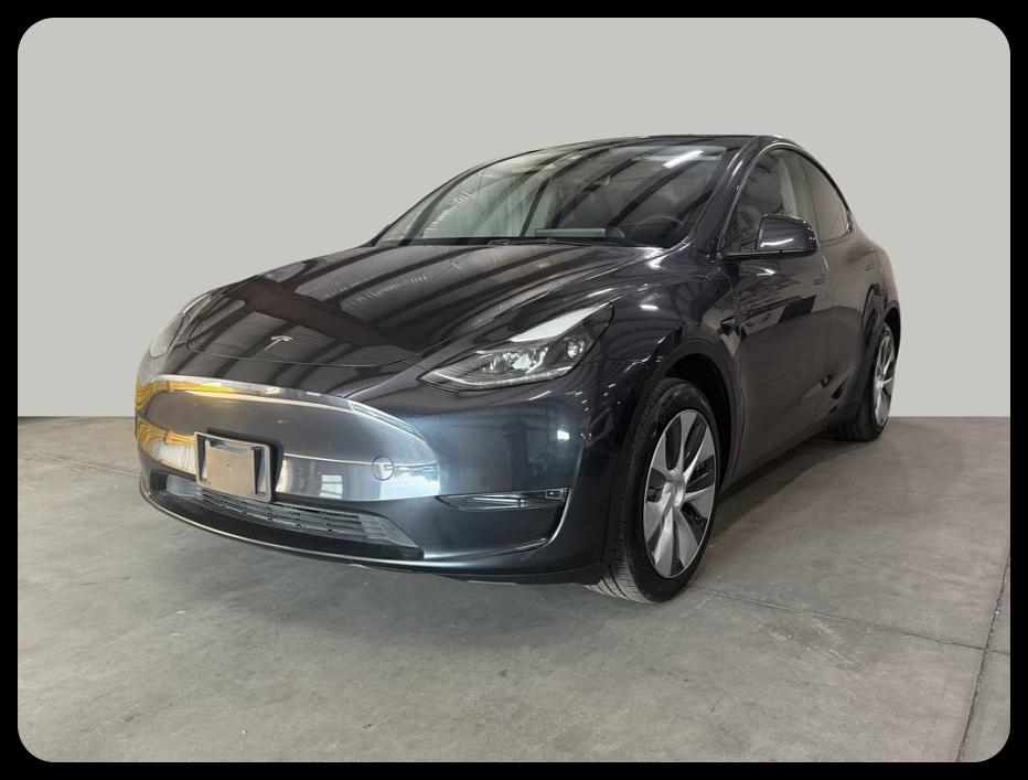 Tesla Model Y photo 2
