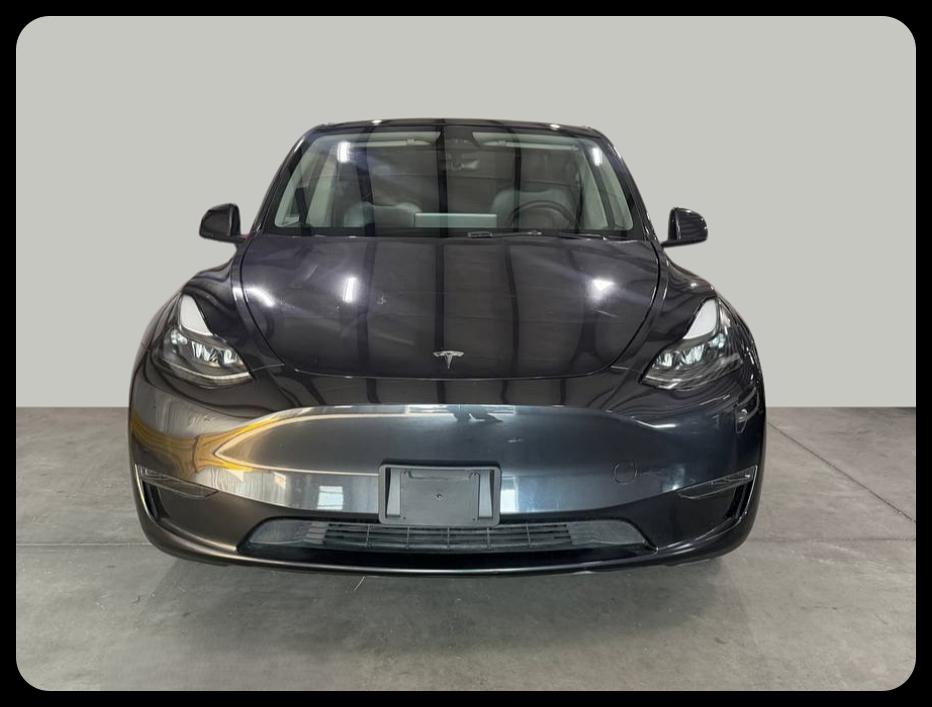 Tesla Model Y photo 3