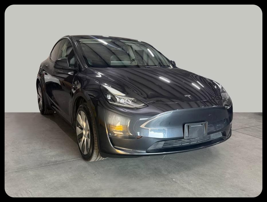 Tesla Model Y photo 4