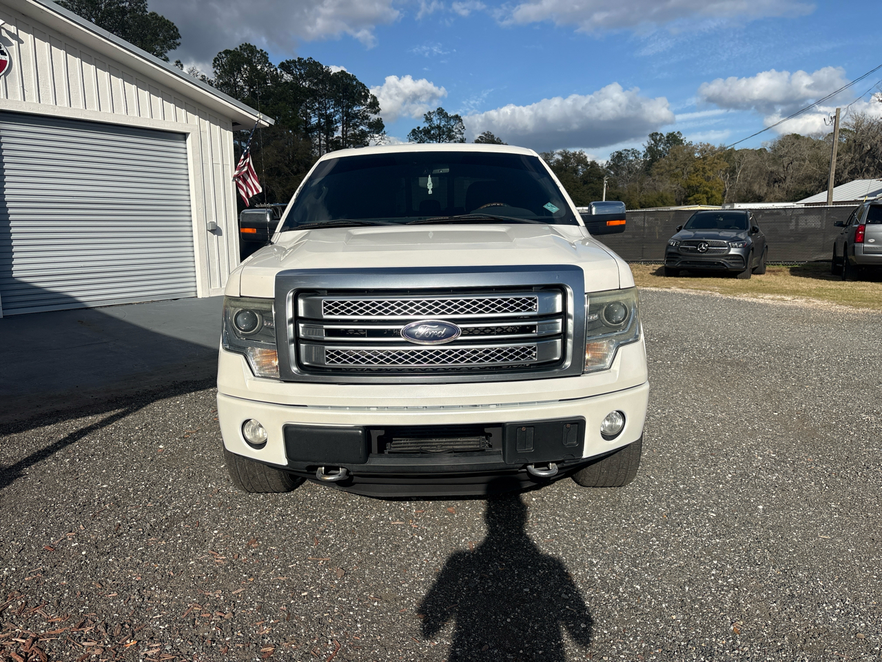 Ford F-150 4WD SuperCrew 145" Platinum 2013