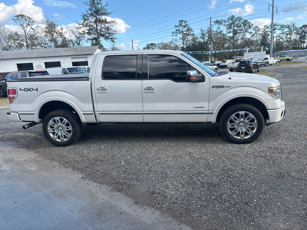 Ford F-150 4WD SuperCrew 145" Platinum 2013