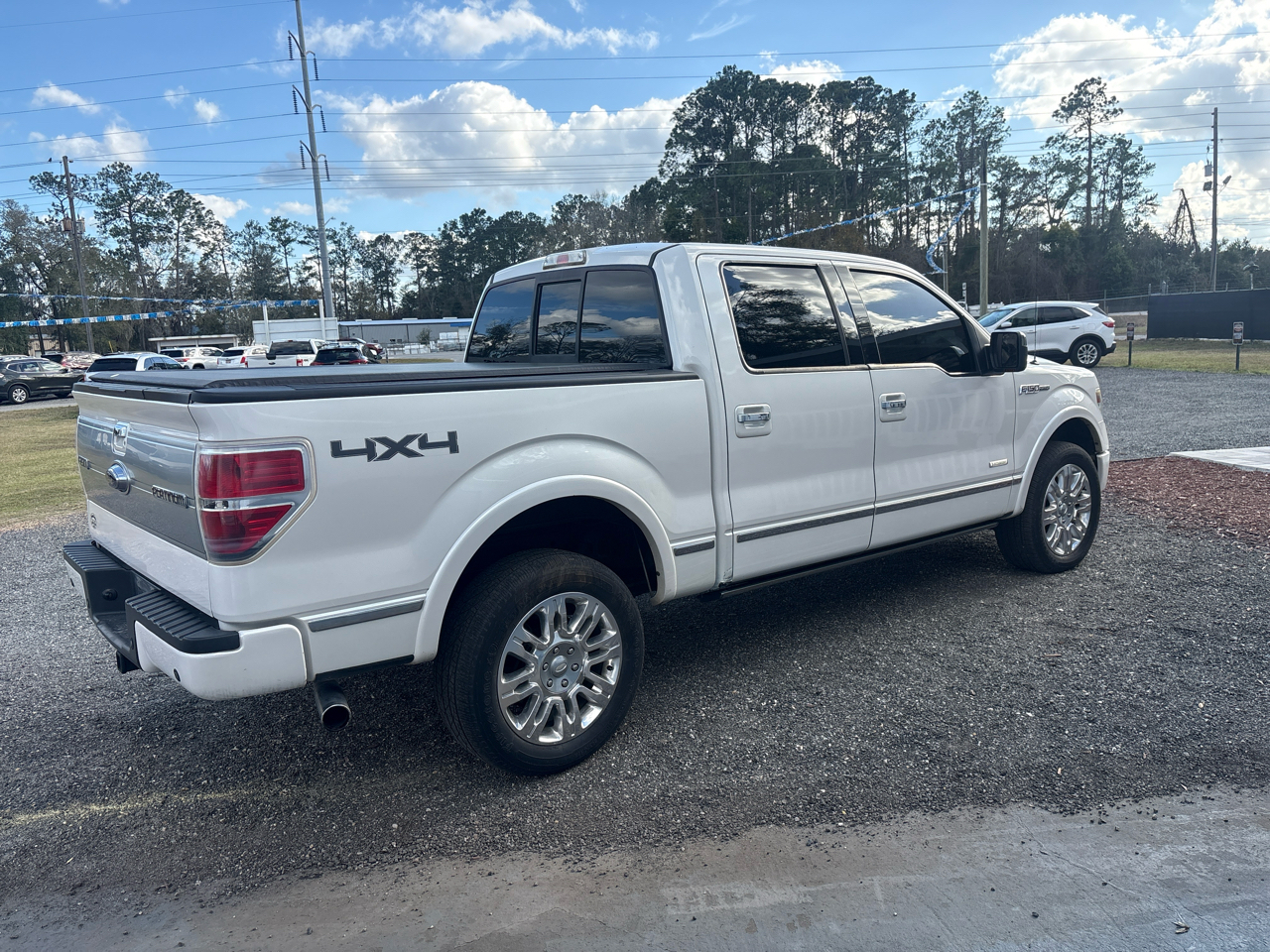 Ford F-150 4WD SuperCrew 145" Platinum 2013