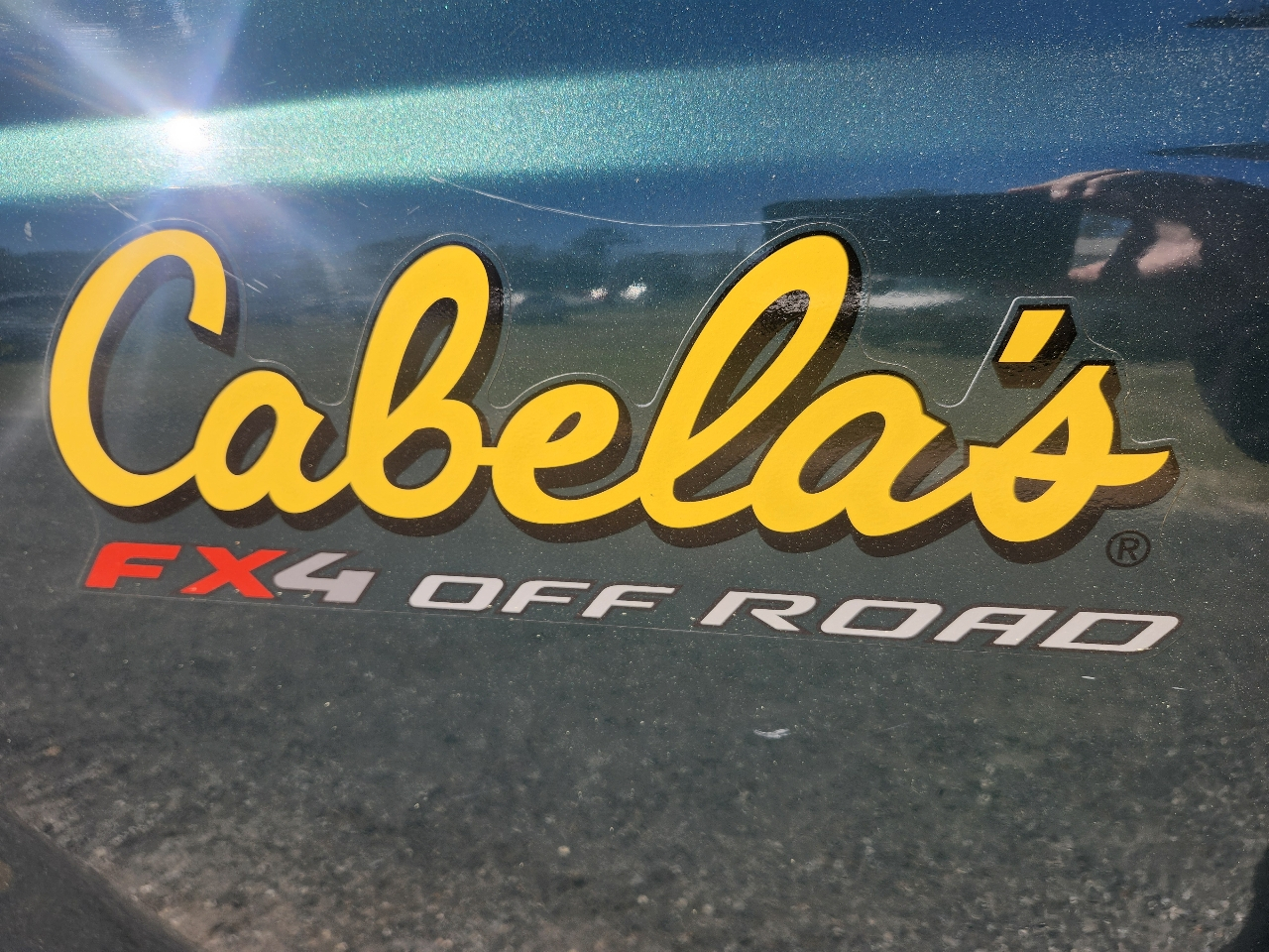 Ford Super Duty F-350 SRW 4WD Crew Cab 172" Cabelas 2010