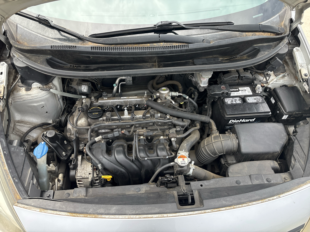 Kia Rio LX Auto 2017