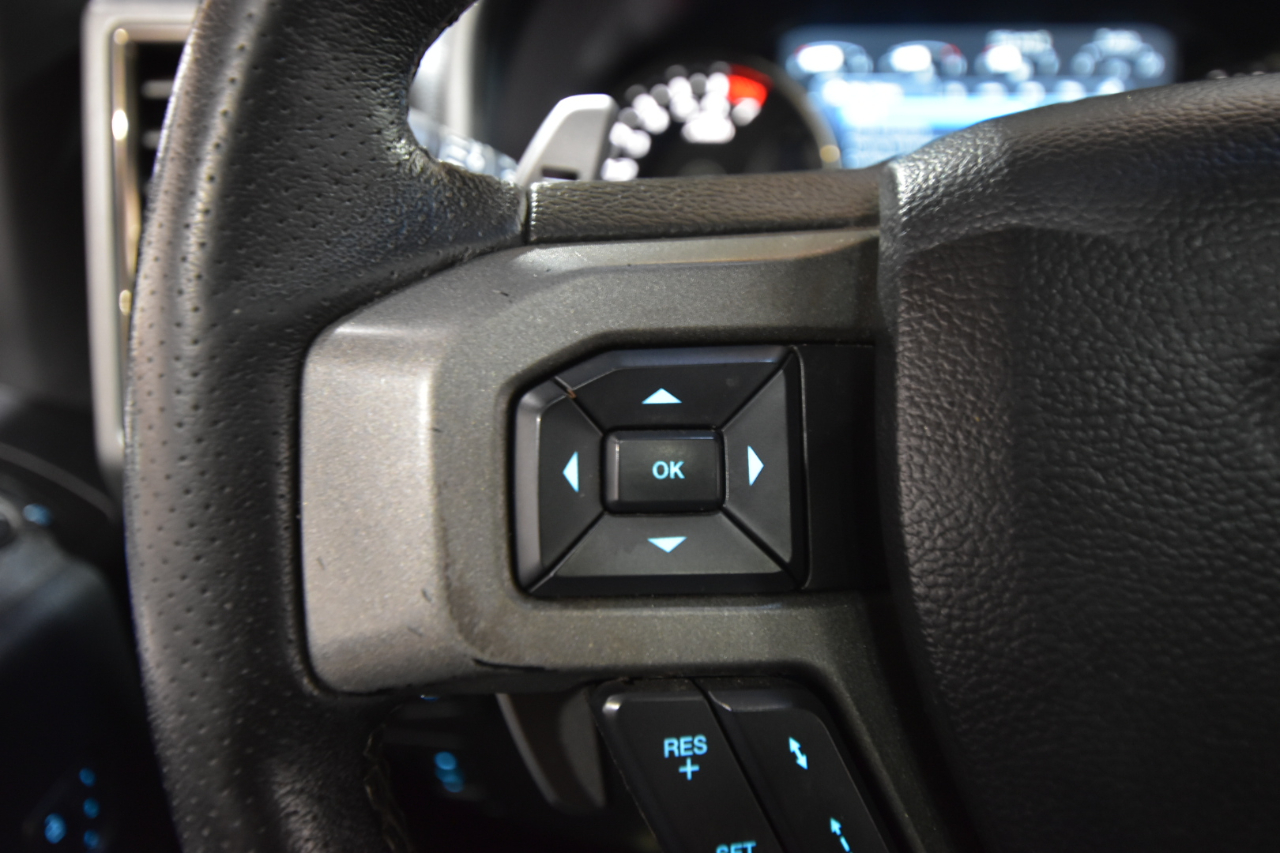 2020 Ford F-150 Raptor photo 28