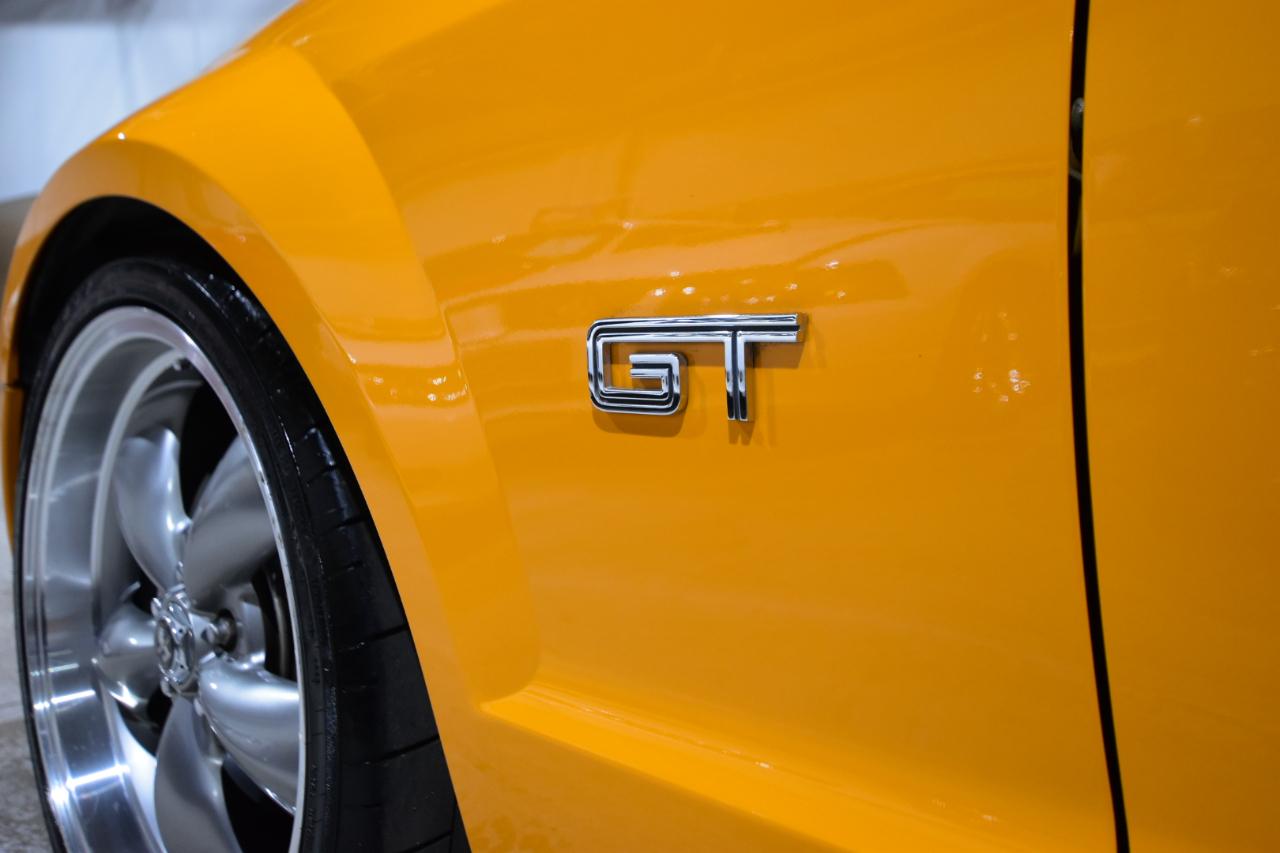 Ford Mustang 2dr Cpe GT Deluxe 2008