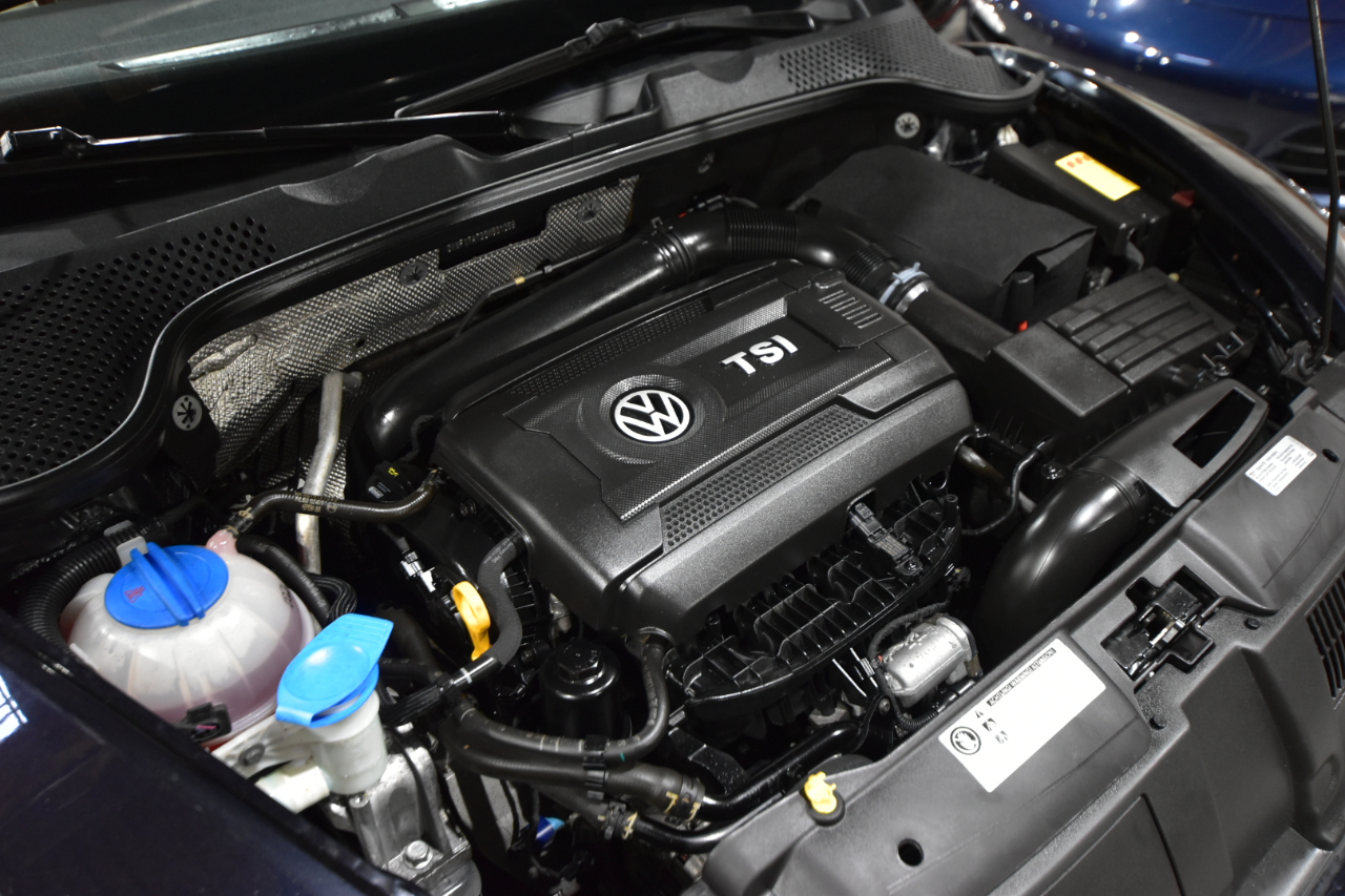 Volkswagen Beetle Coupe 2dr Auto 1.8T S PZEV 2016