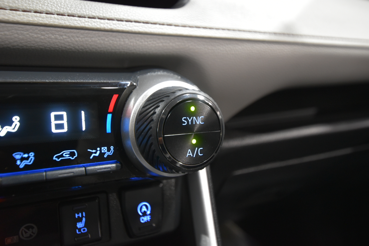 Toyota RAV4 XLE Premium AWD (Natl) 2022