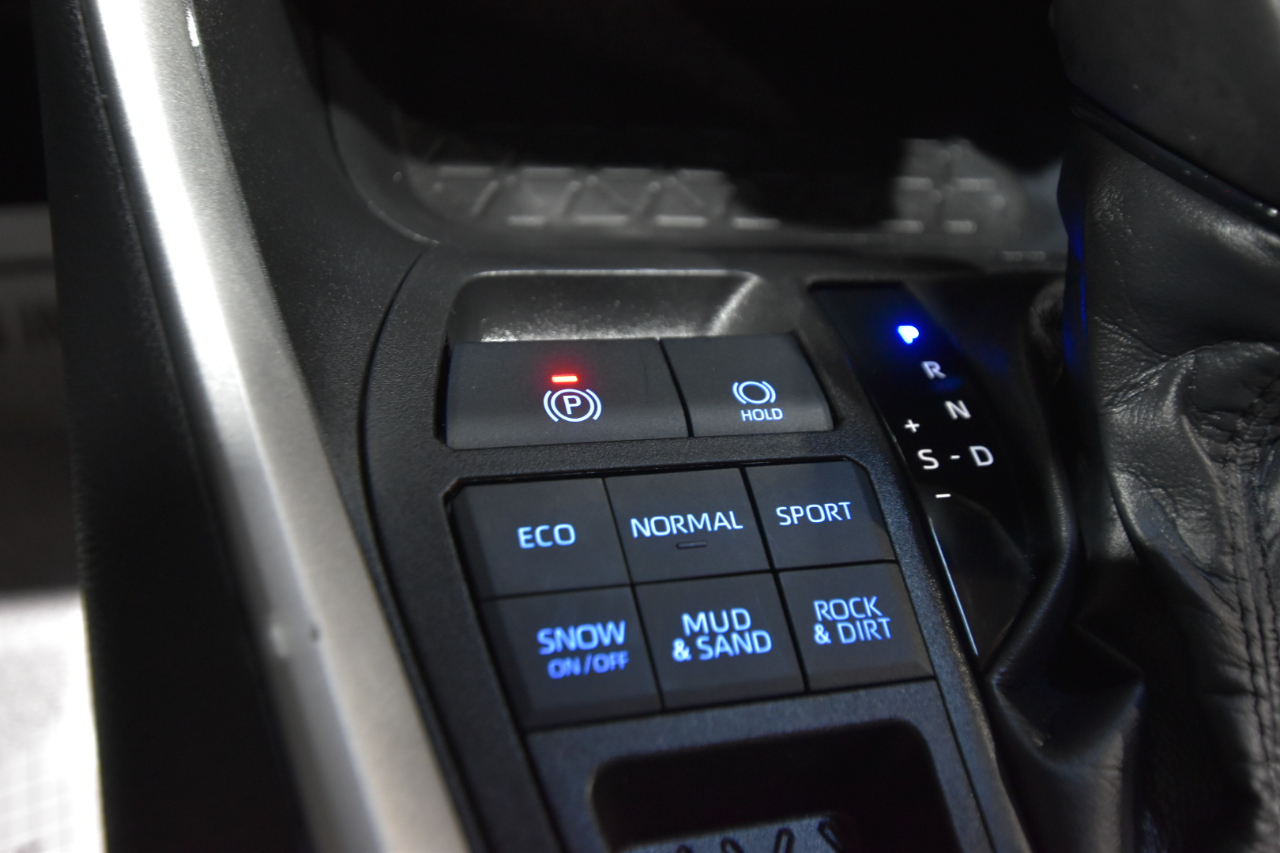 Toyota RAV4 XLE Premium AWD (Natl) 2022