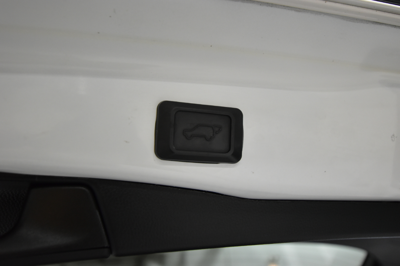 Toyota RAV4 XLE Premium AWD (Natl) 2022