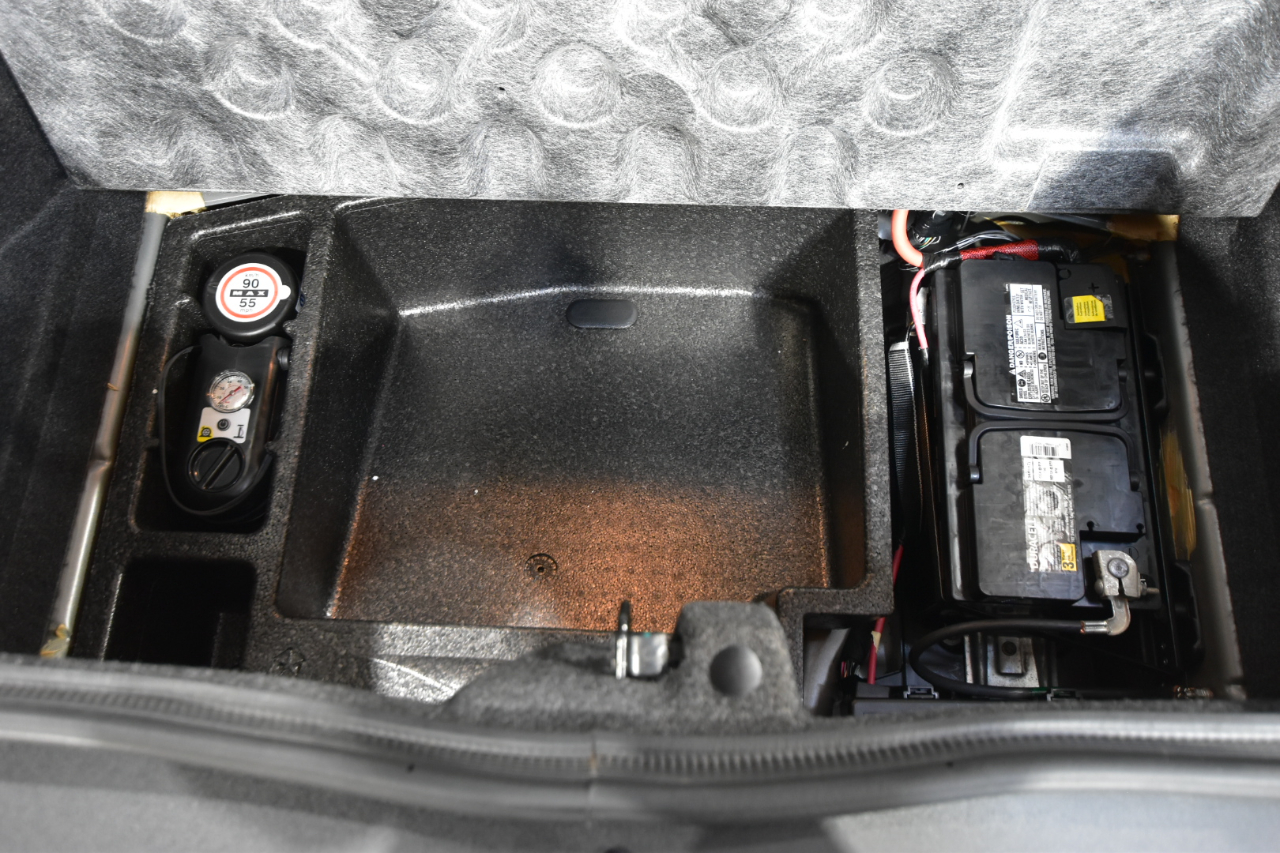 Dodge Challenger 2dr Cpe R/T Classic 2009