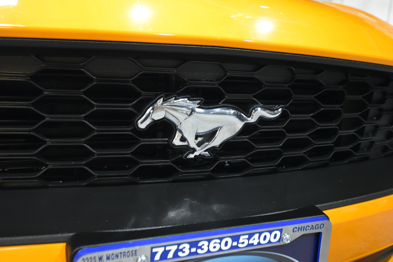 Ford Mustang EcoBoost Fastback 2018