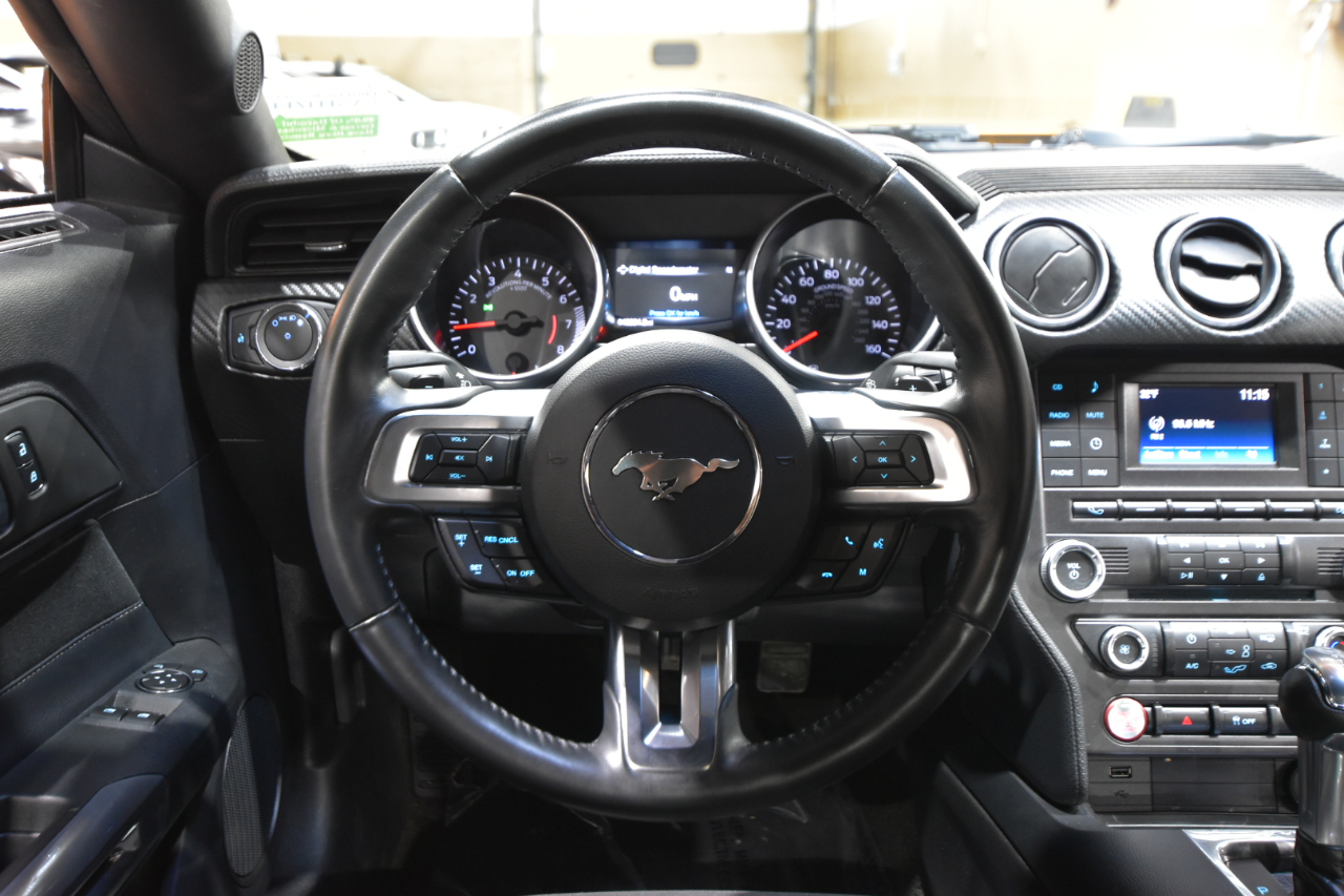 Ford Mustang EcoBoost Fastback 2018