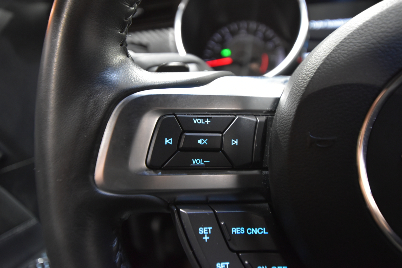 Ford Mustang EcoBoost Fastback 2018