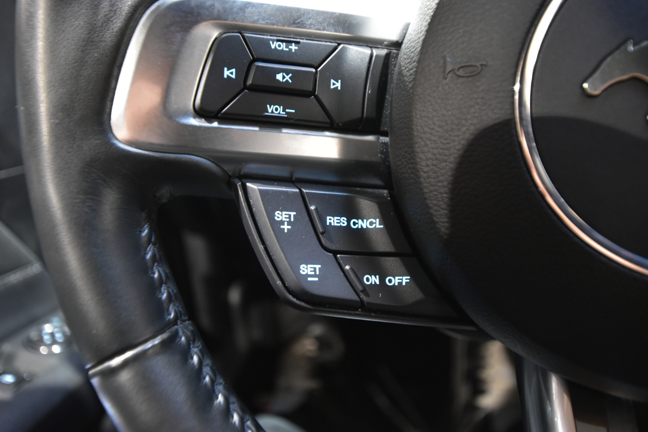 Ford Mustang EcoBoost Fastback 2018