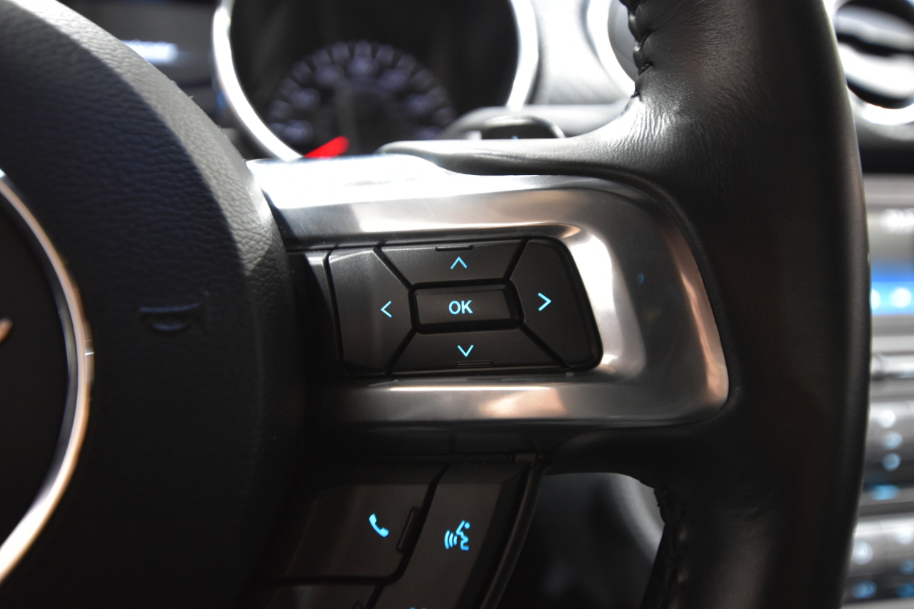 Ford Mustang EcoBoost Fastback 2018