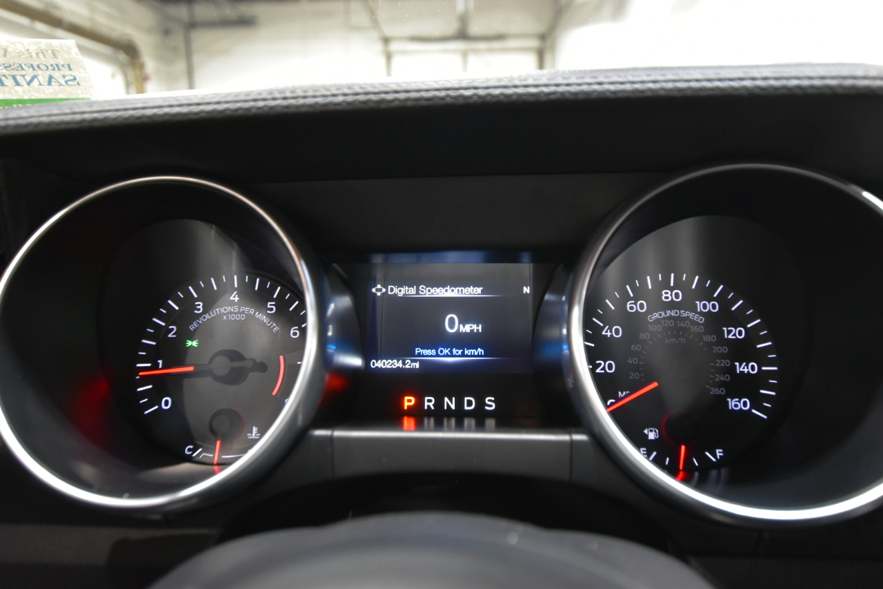 Ford Mustang EcoBoost Fastback 2018