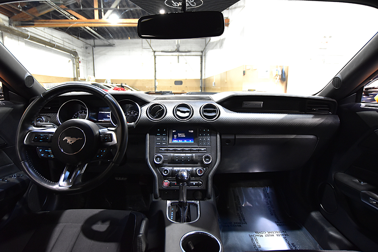 Ford Mustang EcoBoost Fastback 2018