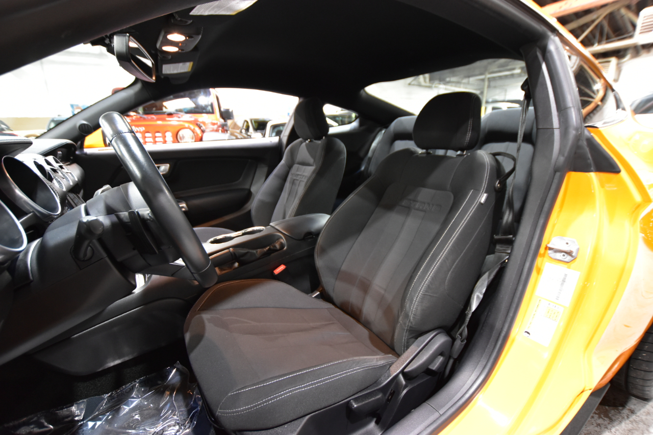 Ford Mustang EcoBoost Fastback 2018