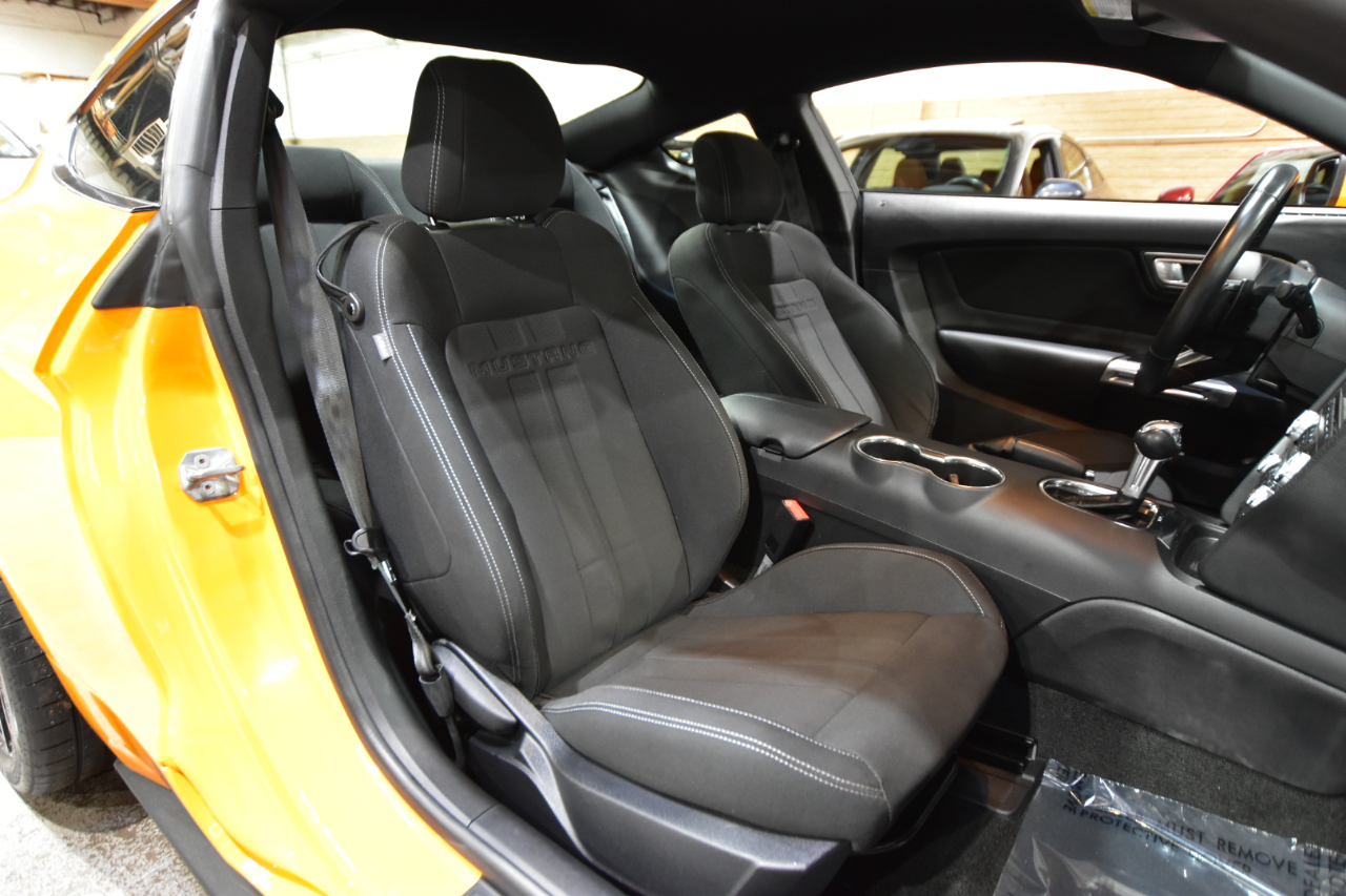 Ford Mustang EcoBoost Fastback 2018