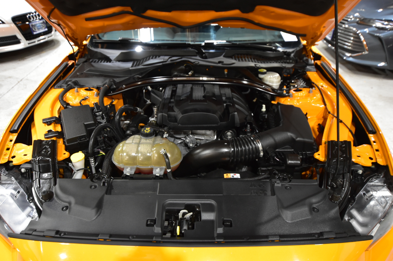 Ford Mustang EcoBoost Fastback 2018