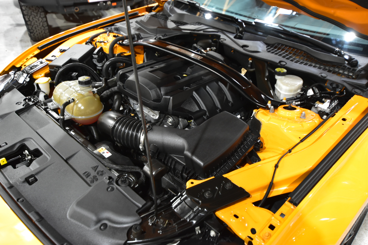 Ford Mustang EcoBoost Fastback 2018