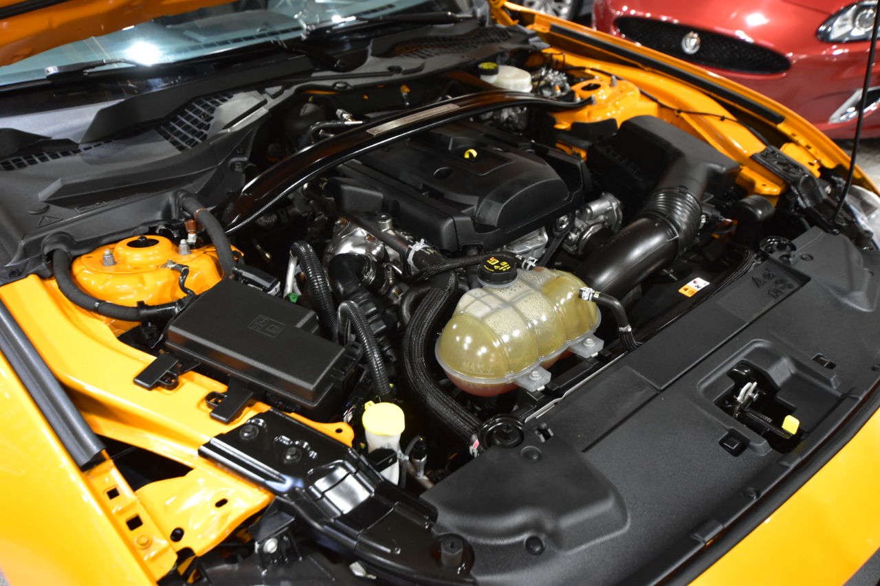 Ford Mustang EcoBoost Fastback 2018