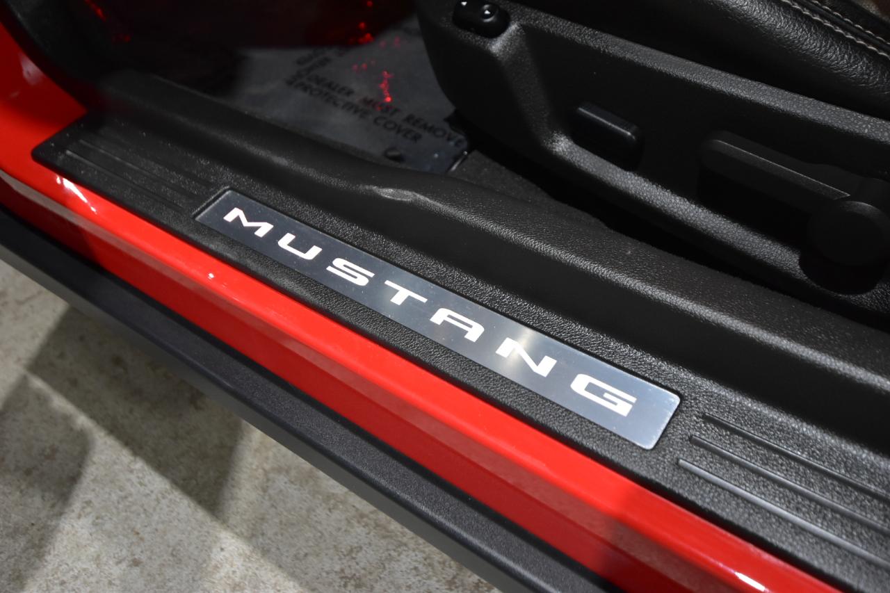 Ford Mustang 2dr Cpe GT 2010