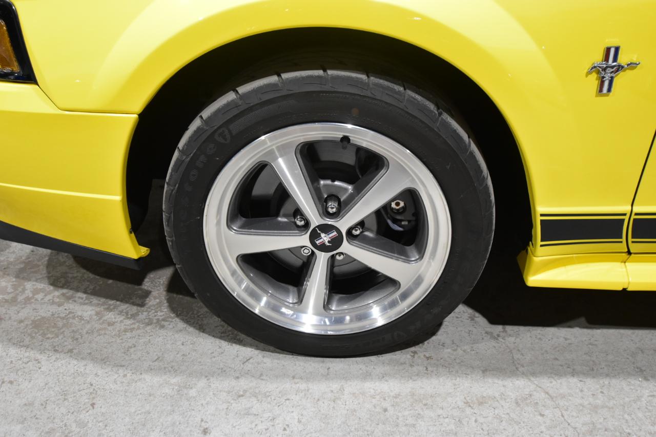 Ford Mustang 2dr Cpe Premium Mach 1 2003