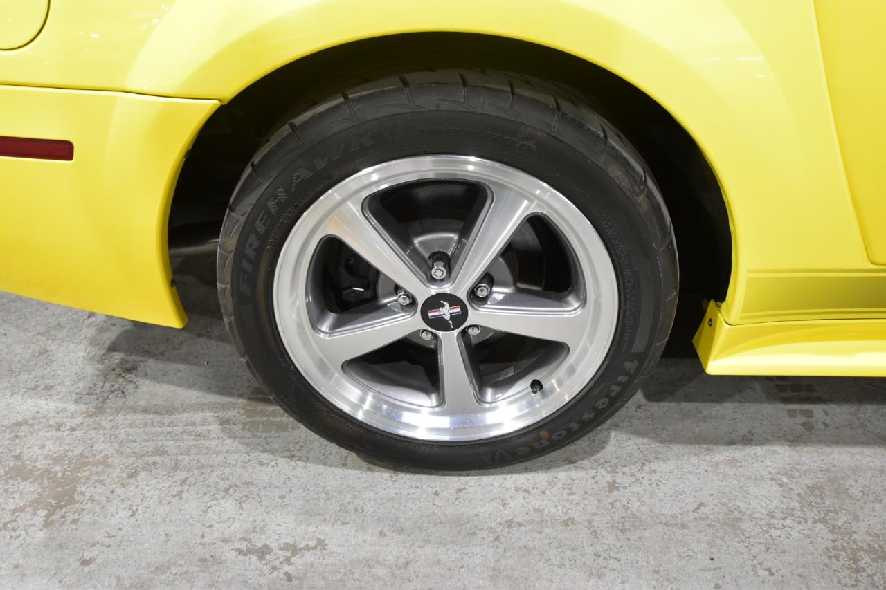 Ford Mustang 2dr Cpe Premium Mach 1 2003